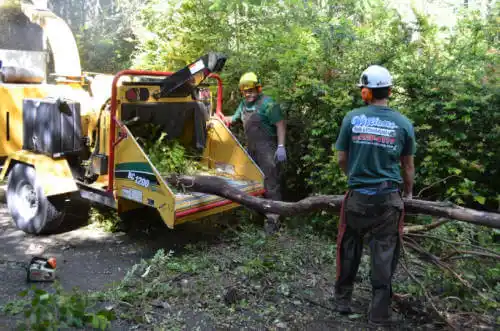 tree services Cottonwood Falls